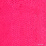 Molurus - B.C  -  582-3