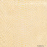 Molurus - B.C  -  588-2