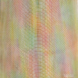 Molurus - B.C  -  762