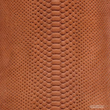 Molurus - B.C  -  941