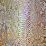 Reticulated - B.C. -  U.B. - 231-2