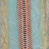 Reticulated - B.C - 826