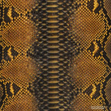 Reticulated - B.C. -  U.B.  - 970-3