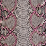 Reticulated - B.C. -  U.B.  - 978