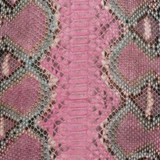 Reticulated - B.C. -  U.B.  - 988-2