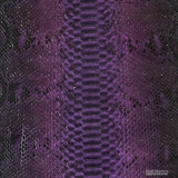 Reticulated - B.C. - U.B.- 990