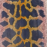 Molurus - F.C -  U.B. - 059