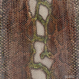 Molurus - F.C -  U.B. - 065