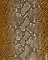 Reticulated - F.C. - U.B. - 210-2