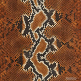 Reticulated - F.C. - U.B. - 872