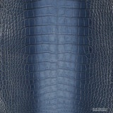 Alligator - B. Ombre - Millennium 