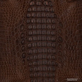 Niloticus - Hornback  - Chocolate