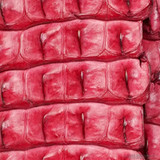 Niloticus-  Backstrap - Pink