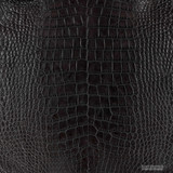 Alligator - Nicotine -  Matte