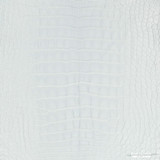 Alligator - ST. Grey - Matte