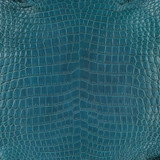 Niloticus - D. Teal  - Matte