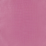 Alligator - Baby Pink - Matte