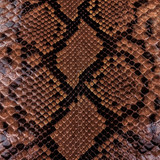 Reticulated- F.C. -U.B. - Anejo - Glazed