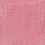 Alligator - H. Pink - Matte