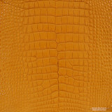 Alligator - Cognac 33 - Matte
