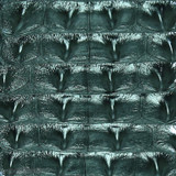 Niloticus - Backstrap - Black