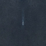 Stingray - Black - Sanded