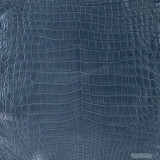 Niloticus - Gunmetal - Matte