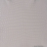 Niloticus - Pink - Millennium