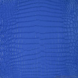 Niloticus - Violet - Millennium