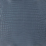 Niloticus - Grey - Millennium