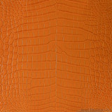 Niloticus - Amber - Millennium