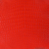 Niloticus - Orange - Millennium