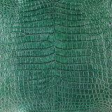 Niloticus - G. Metallic - Millennium