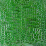 Niloticus - E. Metallic - Millennium