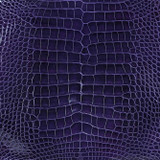 Alligator - Eggplant - Glazed