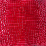 Niloticus - Red - Glazed