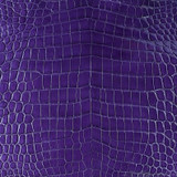 Niloticus - Eggplant - Glazed