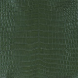 Niloticus - M. Green - Matte