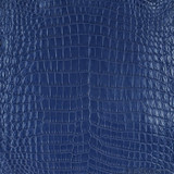 Niloticus - Navy Blue - Matte