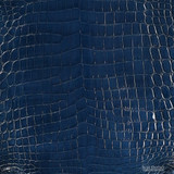 Niloticus - Sapphire - Glazed