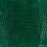 Niloticus - Dark Green - Glazed