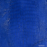 Alligator - Royal - Glazed