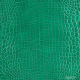 Niloticus - Kelly G. - Glazed