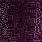 Niloticus - Eggplant - Glazed