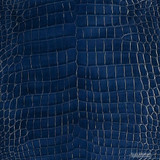 Niloticus - Navy - Glazed