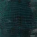 Niloticus - Forest - Glazed