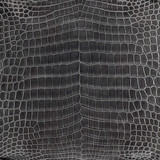 Niloticus - Grey - Glazed