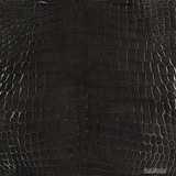 Niloticus - Growler - Glazed
