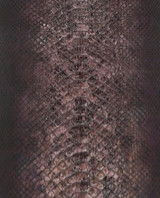Molurus - B.C -  D. - Burgundy