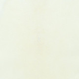 Stingray - White - Polished 